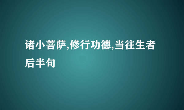 诸小菩萨,修行功德,当往生者后半句