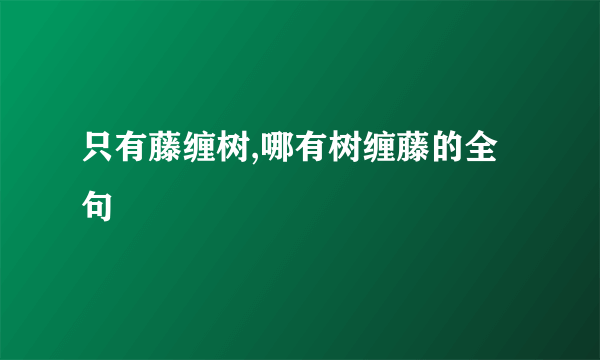只有藤缠树,哪有树缠藤的全句