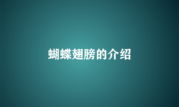 蝴蝶翅膀的介绍