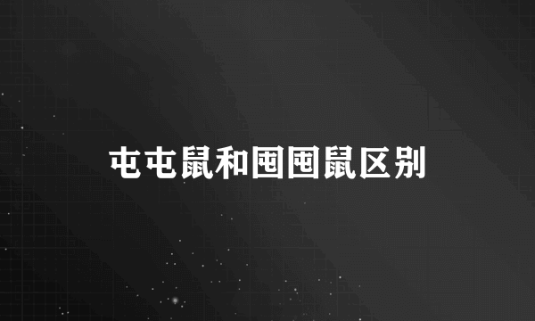 屯屯鼠和囤囤鼠区别