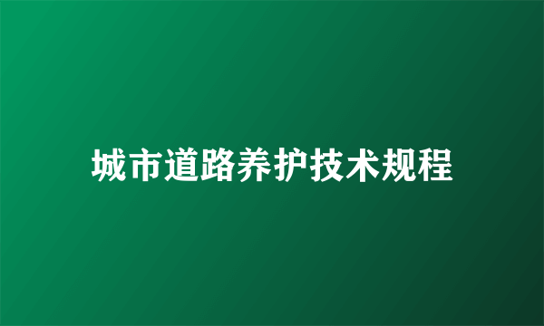 城市道路养护技术规程