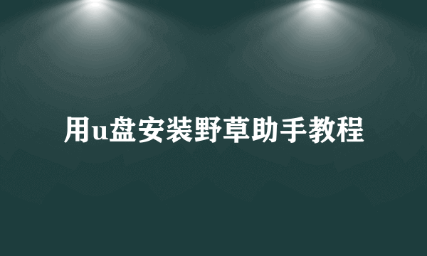 用u盘安装野草助手教程