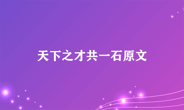 天下之才共一石原文