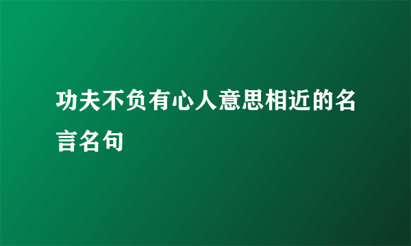 功夫不负有心人意思相近的名言名句
