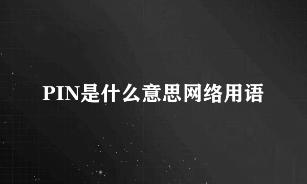 PIN是什么意思网络用语