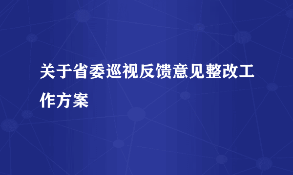 关于省委巡视反馈意见整改工作方案