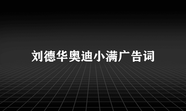 刘德华奥迪小满广告词