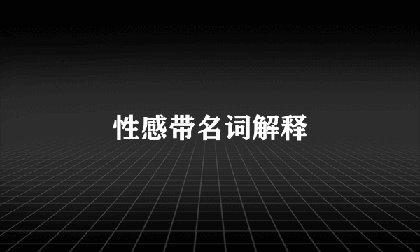 性感带名词解释