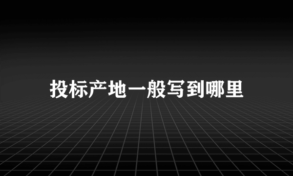 投标产地一般写到哪里