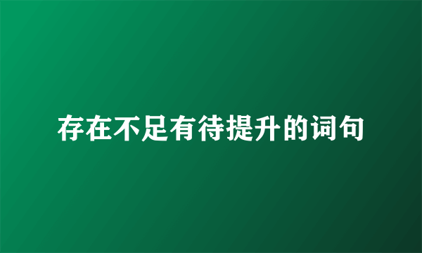存在不足有待提升的词句