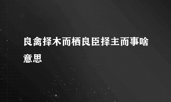 良禽择木而栖良臣择主而事啥意思