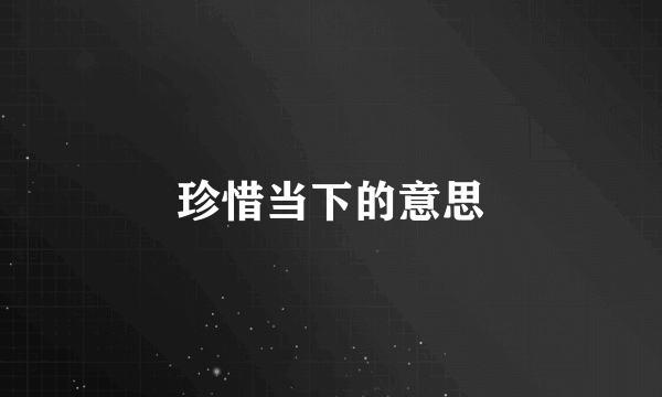 珍惜当下的意思