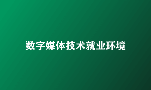 数字媒体技术就业环境