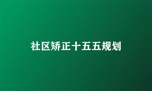 社区矫正十五五规划