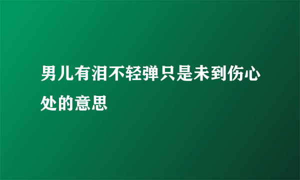 男儿有泪不轻弹只是未到伤心处的意思