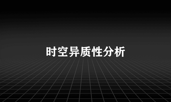 时空异质性分析