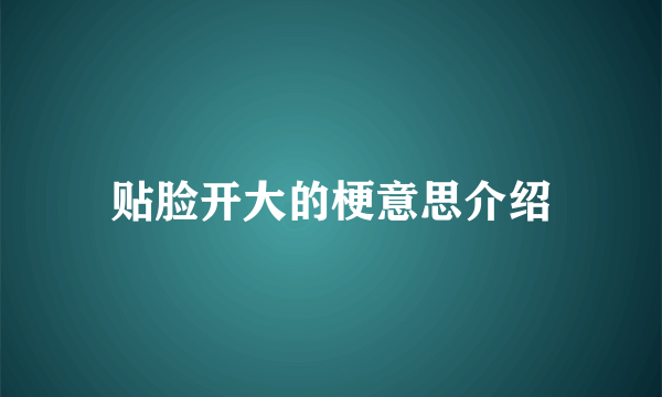贴脸开大的梗意思介绍
