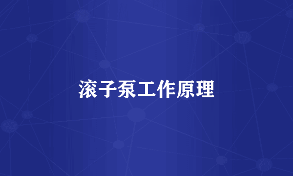 滚子泵工作原理
