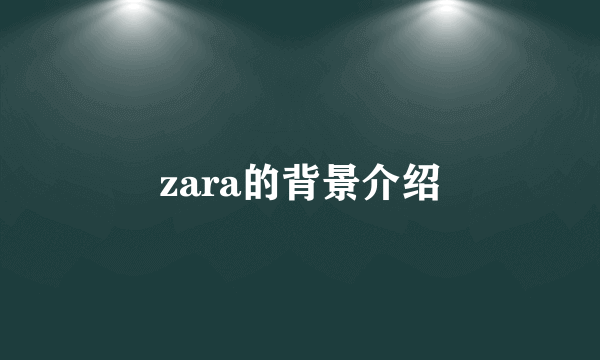 zara的背景介绍