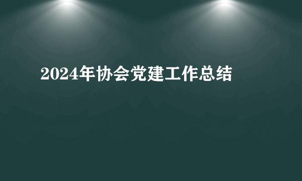 2024年协会党建工作总结