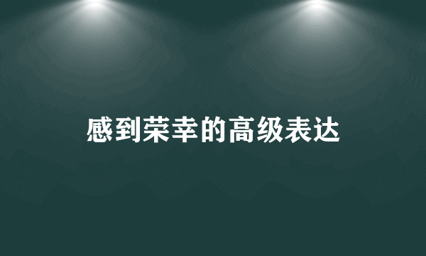 感到荣幸的高级表达