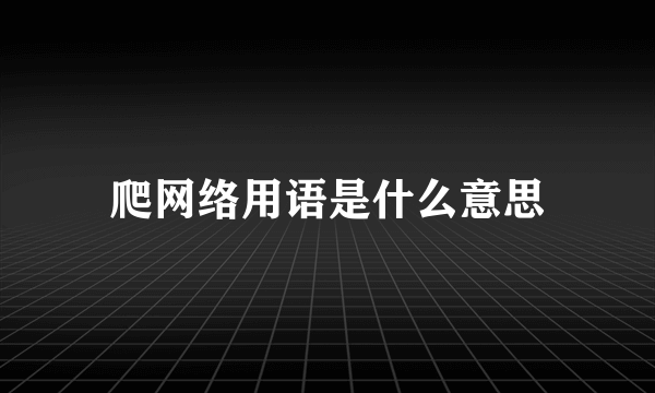 爬网络用语是什么意思