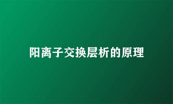 阳离子交换层析的原理