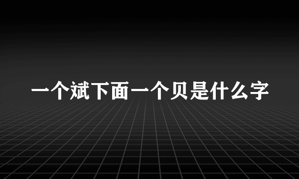 一个斌下面一个贝是什么字