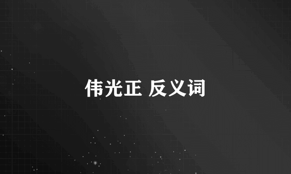 伟光正 反义词