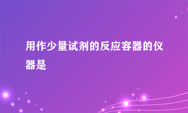 用作少量试剂的反应容器的仪器是