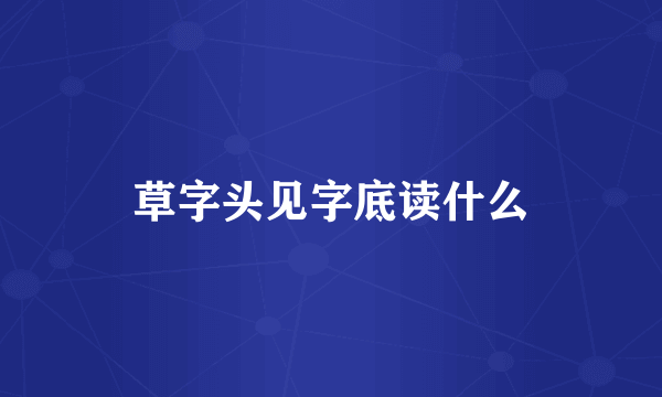 草字头见字底读什么