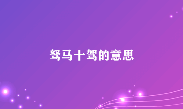 驽马十驾的意思