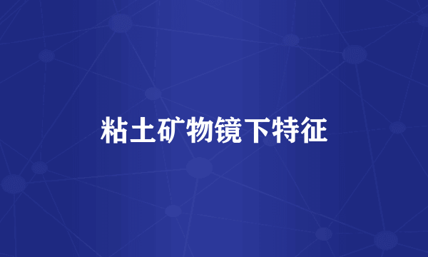 粘土矿物镜下特征