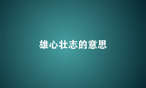 雄心壮志的意思