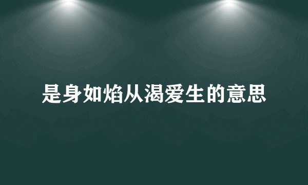 是身如焰从渴爱生的意思