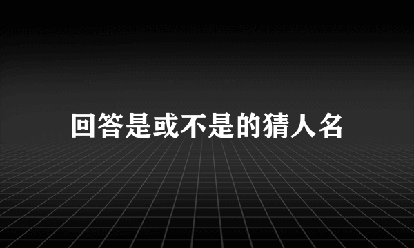 回答是或不是的猜人名