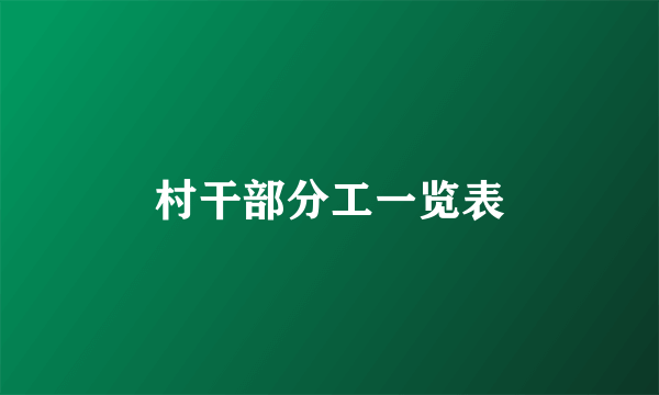 村干部分工一览表