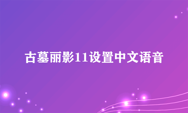 古墓丽影11设置中文语音