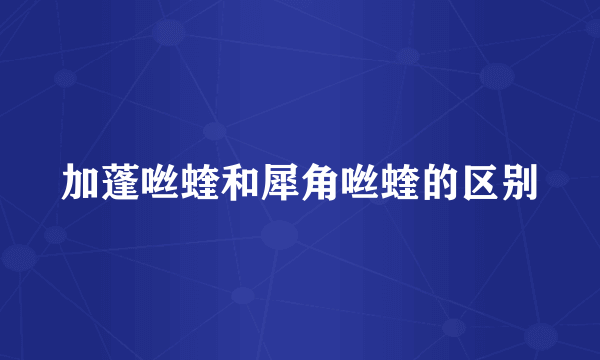 加蓬咝蝰和犀角咝蝰的区别