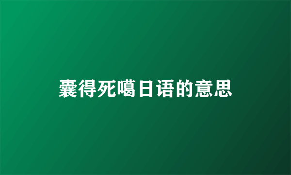 囊得死噶日语的意思