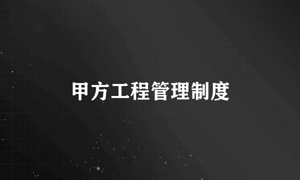 甲方工程管理制度
