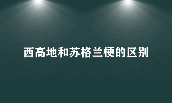 西高地和苏格兰梗的区别