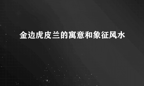 金边虎皮兰的寓意和象征风水