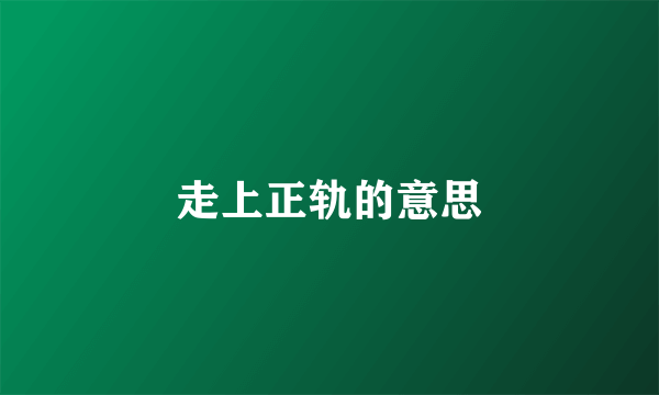 走上正轨的意思