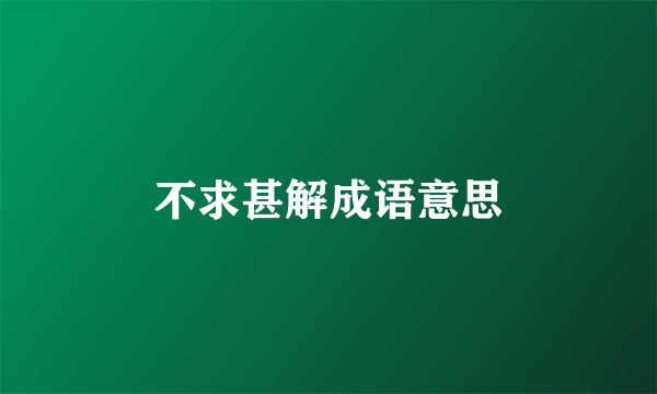 不求甚解成语意思