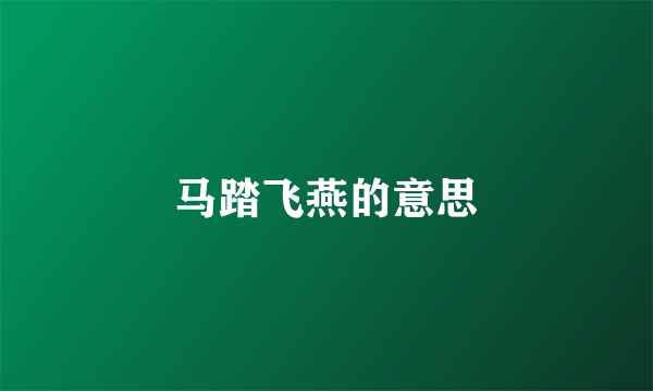 马踏飞燕的意思