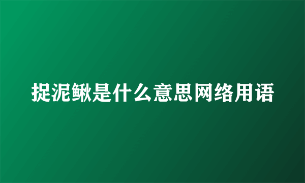 捉泥鳅是什么意思网络用语