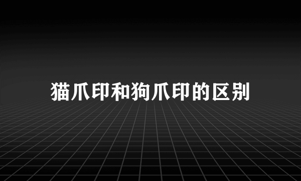 猫爪印和狗爪印的区别
