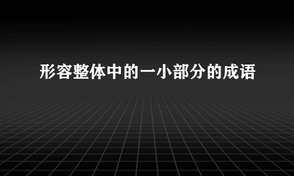 形容整体中的一小部分的成语