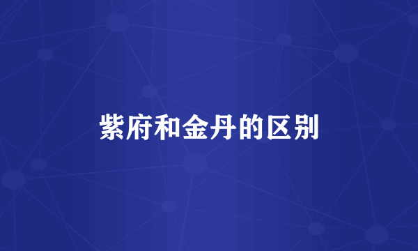 紫府和金丹的区别
